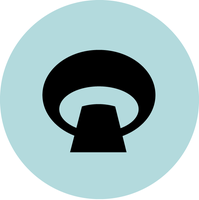 First Person Coupons and Promo Code