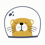 OtterSpace Coupons and Promo Code