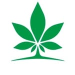 Canabzy Coupons and Promo Code