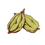 Elaichi Co Coupons and Promo Code