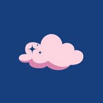 ChicChoi Coupons and Promo Code