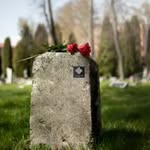 Remember Well Coupons and Promo Code