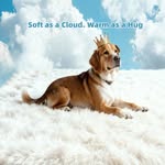 KnitFirst Coupons and Promo Code